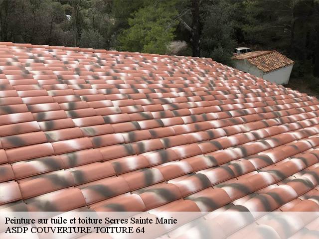 Peinture sur tuile et toiture  serres-sainte-marie-64170 ASDP COUVERTURE TOITURE 64