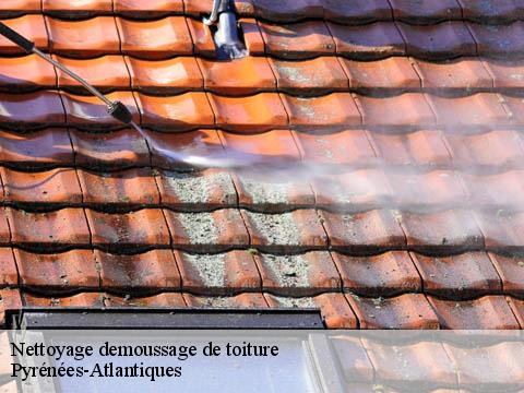 Nettoyage demoussage de toiture Pyrénées-Atlantiques