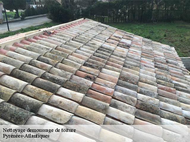 Nettoyage demoussage de toiture Pyrénées-Atlantiques 