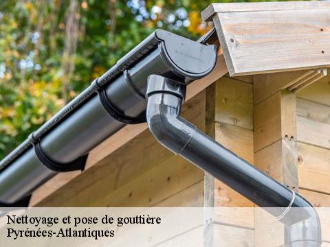 Nettoyage et pose de gouttière Pyrénées-Atlantiques