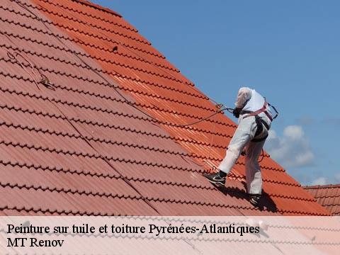 Peinture sur tuile et toiture 64 Pyrénées-Atlantiques ASDP COUVERTURE TOITURE 64