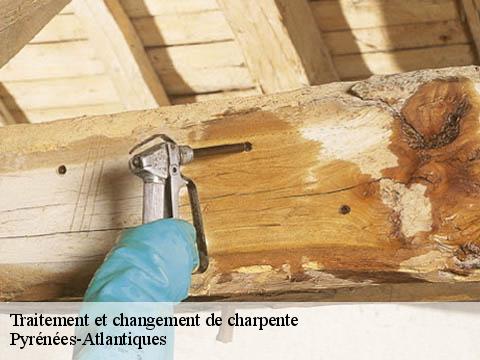 Traitement et changement de charpente Pyrénées-Atlantiques