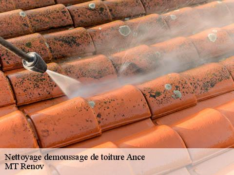 Nettoyage demoussage de toiture  ance-64570 ASDP COUVERTURE TOITURE 64