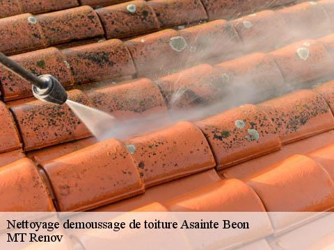 Nettoyage demoussage de toiture  asainte-beon-64260 ASDP COUVERTURE TOITURE 64