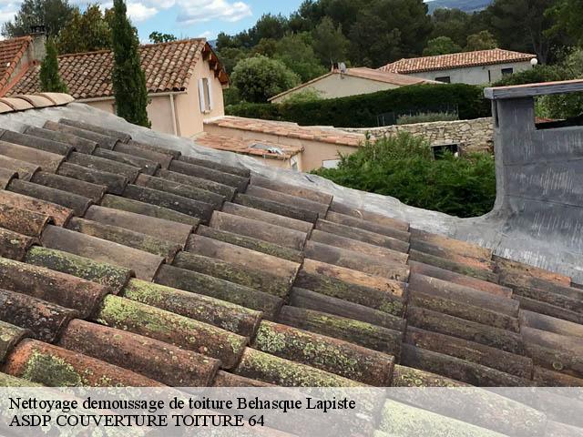 Nettoyage demoussage de toiture  behasque-lapiste-64120 ASDP COUVERTURE TOITURE 64