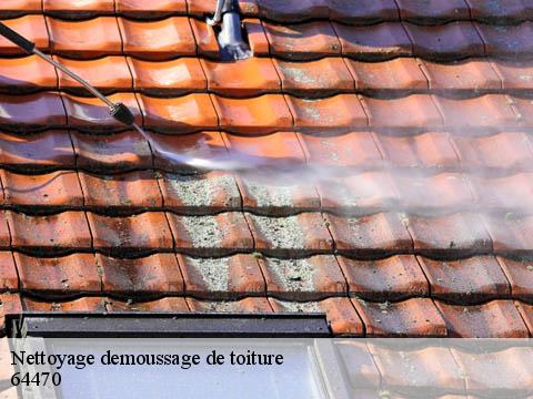 Nettoyage demoussage de toiture  64470