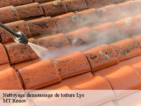Nettoyage demoussage de toiture lys-64260 MT Renov