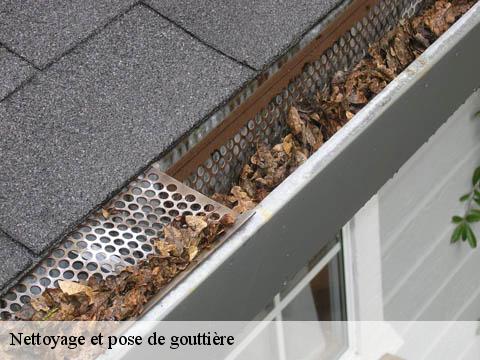 Nettoyage et pose de gouttière