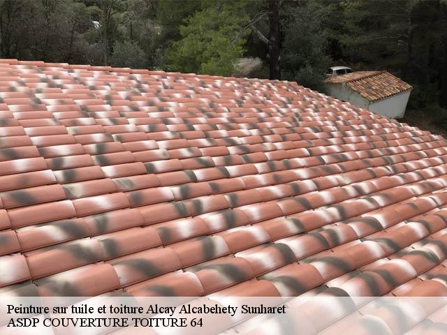 Peinture sur tuile et toiture  alcay-alcabehety-sunharet-64470 ASDP COUVERTURE TOITURE 64