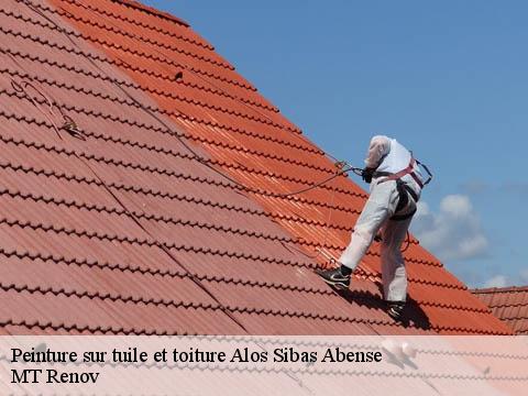 Peinture sur tuile et toiture  alos-sibas-abense-64470 ASDP COUVERTURE TOITURE 64