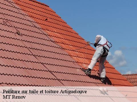 Peinture sur tuile et toiture artiguelouve-64230 MT Renov