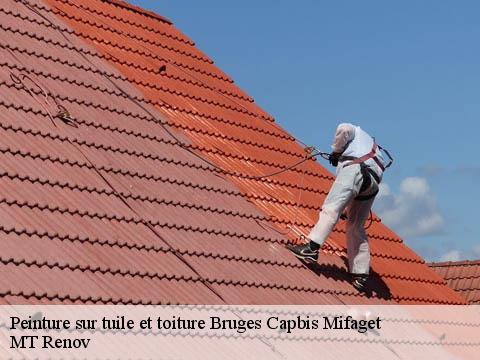 Peinture sur tuile et toiture bruges-capbis-mifaget-64800 MT Renov