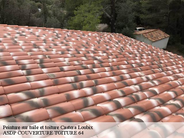Peinture sur tuile et toiture  castera-loubix-64460 ASDP COUVERTURE TOITURE 64
