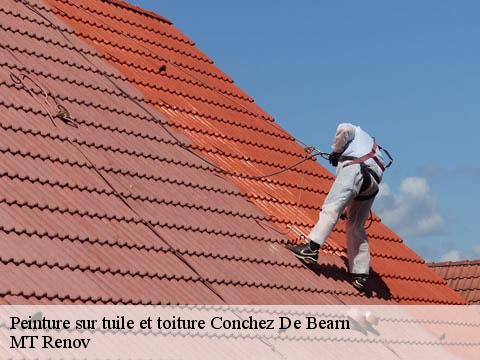 Peinture sur tuile et toiture conchez-de-bearn-64330 MT Renov