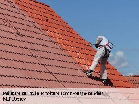 Peinture sur tuile et toiture idron-ousse-sendets-64320 MT Renov