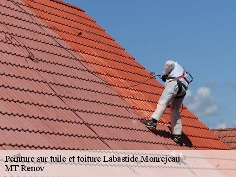 Peinture sur tuile et toiture labastide-monrejeau-64170 MT Renov