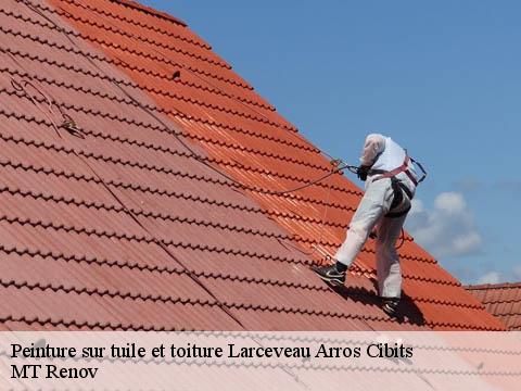 Peinture sur tuile et toiture  larceveau-arros-cibits-64120 MT Renov