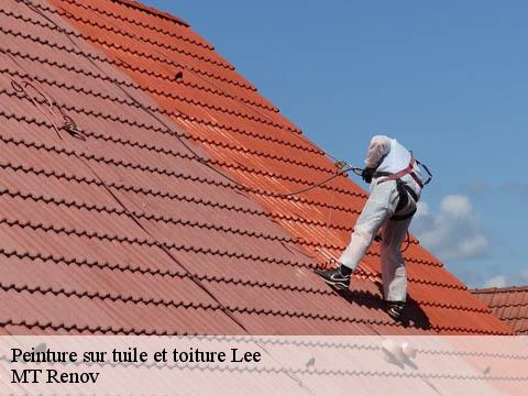 Peinture sur tuile et toiture lee-64320 MT Renov