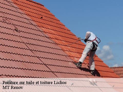 Peinture sur tuile et toiture lichos-64130 MT Renov