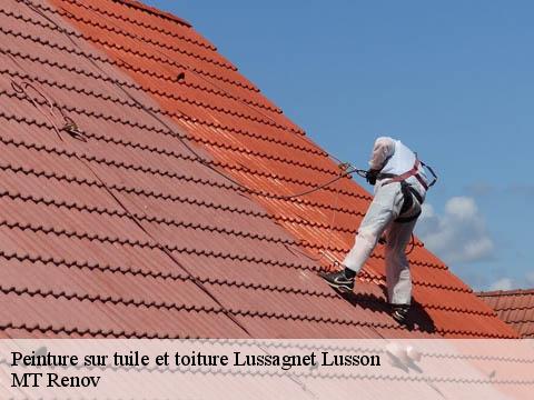 Peinture sur tuile et toiture lussagnet-lusson-64160 MT Renov