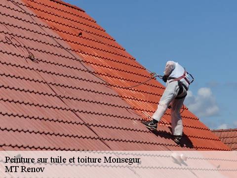 Peinture sur tuile et toiture monsegur-64460 MT Renov