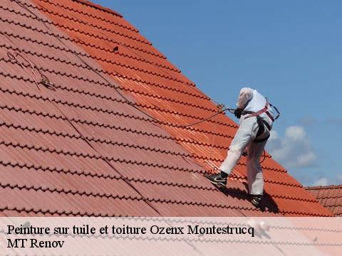 Peinture sur tuile et toiture ozenx-montestrucq-64300 MT Renov