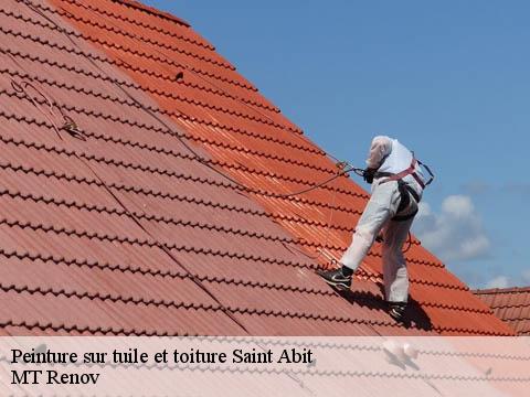 Peinture sur tuile et toiture  saint-abit-64800 ASDP COUVERTURE TOITURE 64