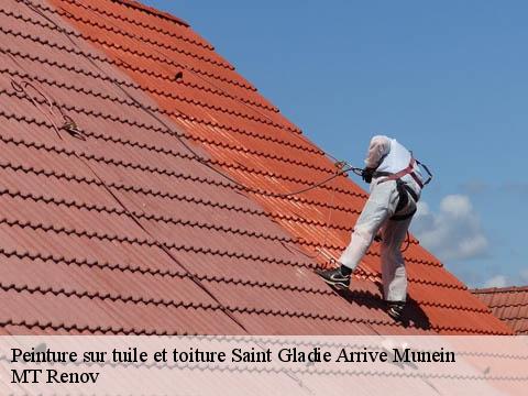 Peinture sur tuile et toiture saint-gladie-arrive-munein-64390 MT Renov