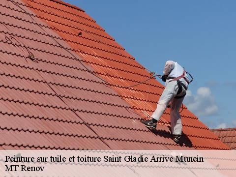 Peinture sur tuile et toiture  saint-gladie-arrive-munein-64390 ASDP COUVERTURE TOITURE 64