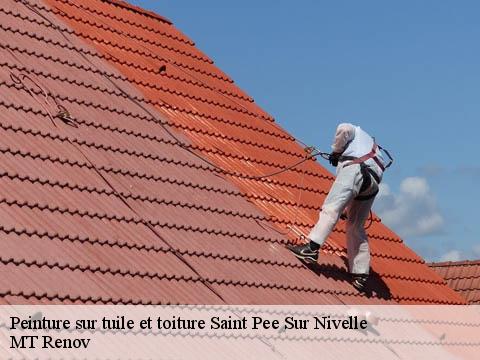 Peinture sur tuile et toiture saint-pee-sur-nivelle-64310 MT Renov