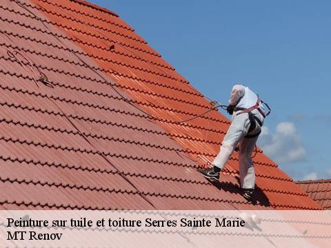 Peinture sur tuile et toiture  serres-sainte-marie-64170 ASDP COUVERTURE TOITURE 64