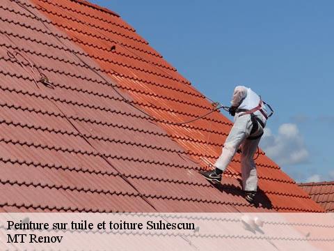 Peinture sur tuile et toiture suhescun-64780 MT Renov