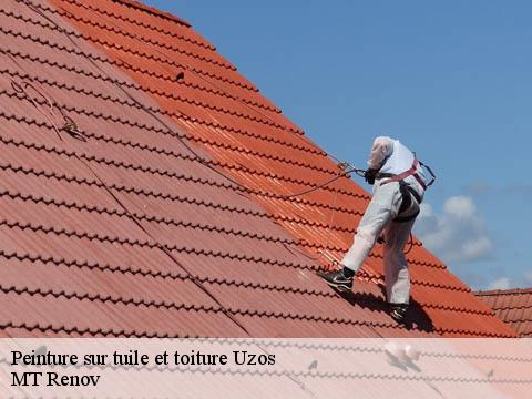 Peinture sur tuile et toiture uzos-64110 MT Renov