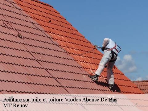 Peinture sur tuile et toiture viodos-abense-de-bas-64130 MT Renov