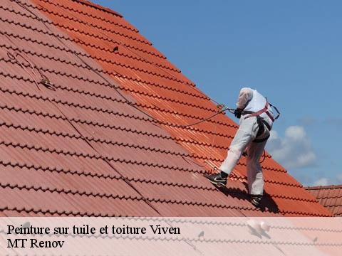 Peinture sur tuile et toiture  viven-64450 MT Renov