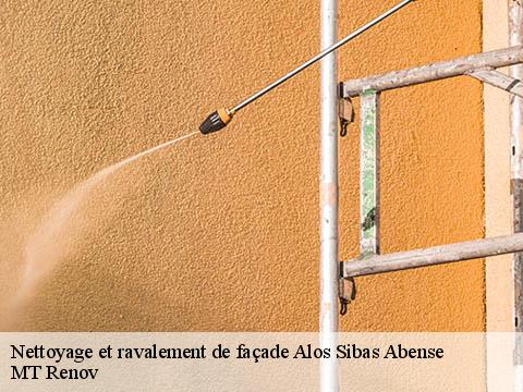 Nettoyage et ravalement de façade  alos-sibas-abense-64470 ASDP COUVERTURE TOITURE 64