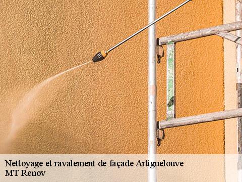 Nettoyage et ravalement de façade  artiguelouve-64230 ASDP COUVERTURE TOITURE 64