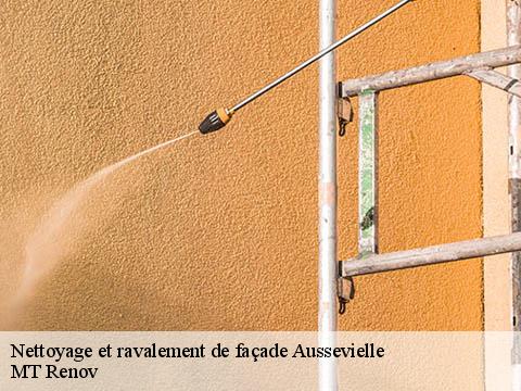 Nettoyage et ravalement de façade  aussevielle-64230 ASDP COUVERTURE TOITURE 64