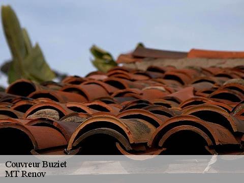 Couvreur buziet-64680 MT Renov