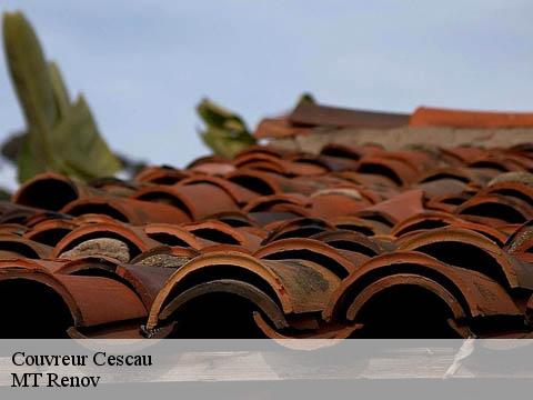 Couvreur  cescau-64170 MT Renov