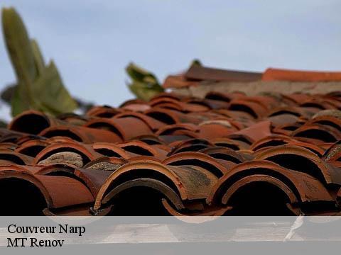 Couvreur narp-64190 MT Renov