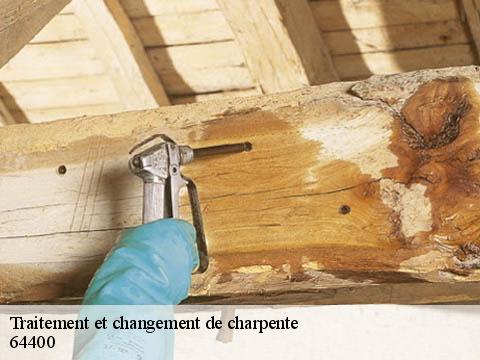 Traitement et changement de charpente  64400