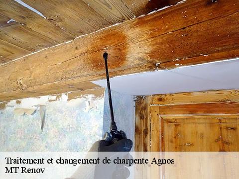 Traitement et changement de charpente  agnos-64400 ASDP COUVERTURE TOITURE 64