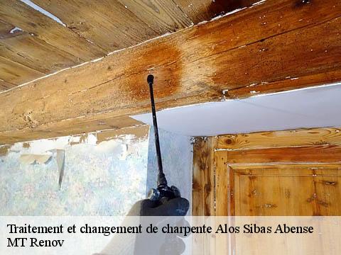 Traitement et changement de charpente  alos-sibas-abense-64470 ASDP COUVERTURE TOITURE 64