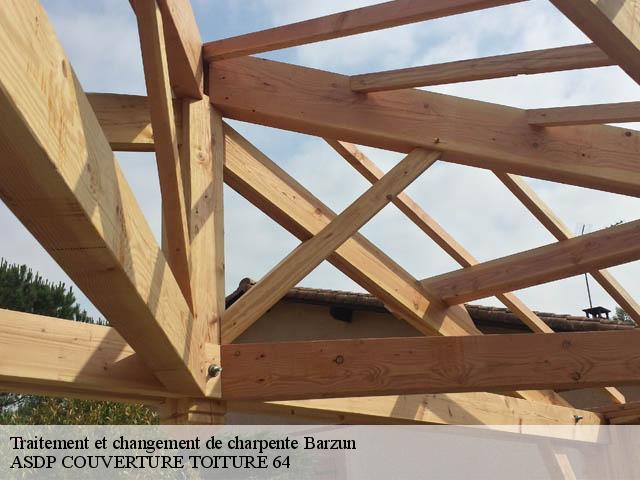 Traitement et changement de charpente  barzun-64530 ASDP COUVERTURE TOITURE 64