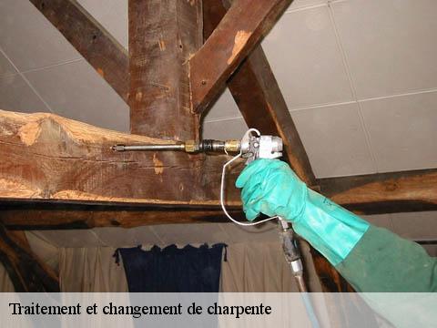 Traitement et changement de charpente