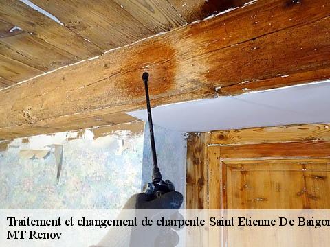 Traitement et changement de charpente saint-etienne-de-baigorry-64430 MT Renov